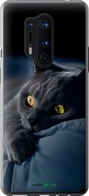 Чохол на OnePlus 8 Pro Димчастий кіт "825u-1896-2448"