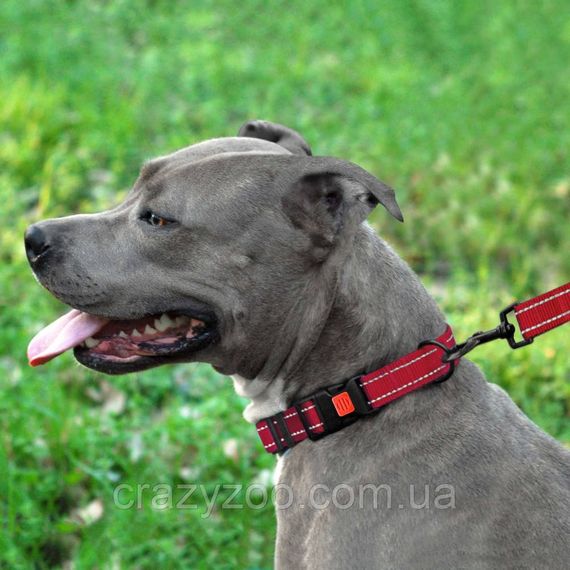Нашийник для собак BronzeDog Active S нейлоновий червоний 1.6х25-33 см 50/1303/Т | Зображення 3