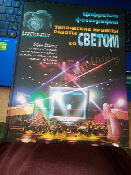 Бэрри Хаггинс Цифровая фотография. Творческие приёмы работы со светом.