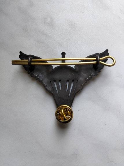 Кокарда "ДШВ" (бронза) | Зображення 5