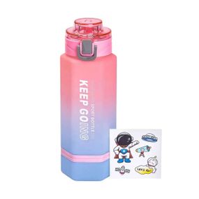 Бутылка для воды Keep Going 650 мл с наклейками розовая HP-14-47P