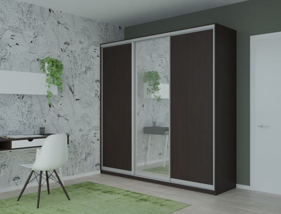 Шкаф купе Сити Лайт Doros Венге 2 ДСП / 1 Зеркало 225х60х225 (44900020) | Зображення 1