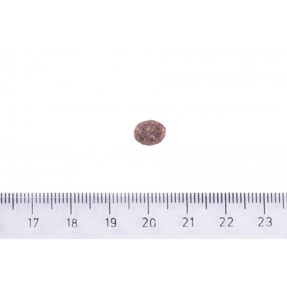 Корм сухий Brit Care Dog Sustainable Adult Small Breed для собак малих порід з куркою та комахами 1 кг | Зображення 3