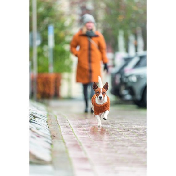 Светр Trixie CityStyle Berlin для собак помаранчевий XS 27 см | Зображення 5