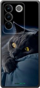 Чохол на Vivo S16 Pro Димчастий кіт "825u-3123-2448"
