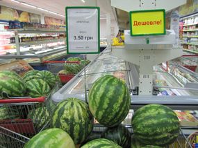 Стійка з рамкою та пластиковою чорною основою, Зелёный, А5, 500-1000 мм