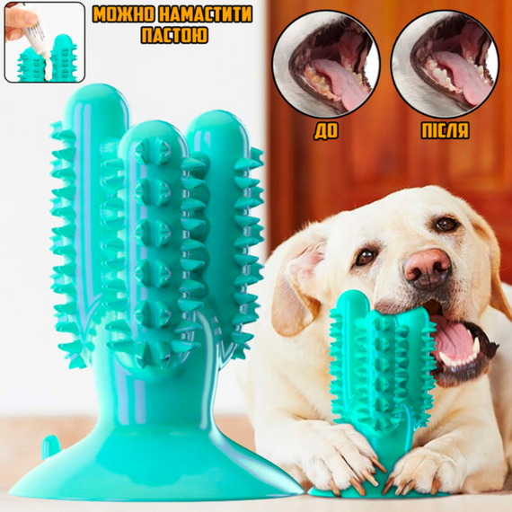 Жувальна іграшка для собак «Кактус із присоском» — зубна щітка-іграшка з масажем ясен і можливістю використання з ласощів | Зображення 4