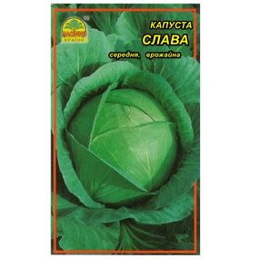 Насіння капусти Слава 1 г (Насіння країни)