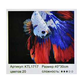 Картина по номерам KTL 1717 (30) в коробке 40х30