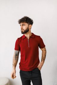 Мужское поло-футболка на пуговицах BD0046 цвет бордовый, размер M