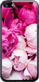 Чехол на iPhone 5 Розовые пионы "2747u-18-17620"
