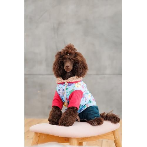 Костюм Pet Fashion Alisa для дівчинки розмір XS | Зображення 5