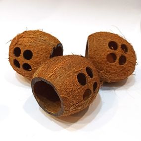 Будиночок для хом'яка з кокоса