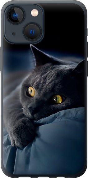 Чехол на iPhone 13 Mini Дымчатый кот "825u-2373-17620"