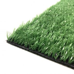 Недорогая искусственная трава EcoGrass SD-15