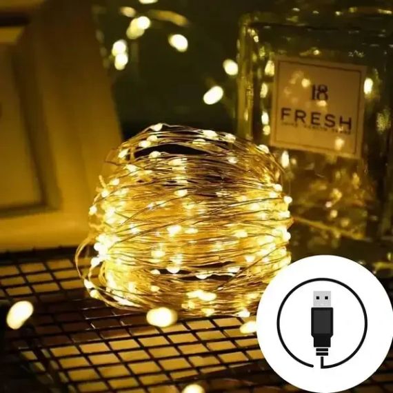 Гирлянда нить USB светодиодная для дома Роса Теплый белый 10 м | Зображення 1