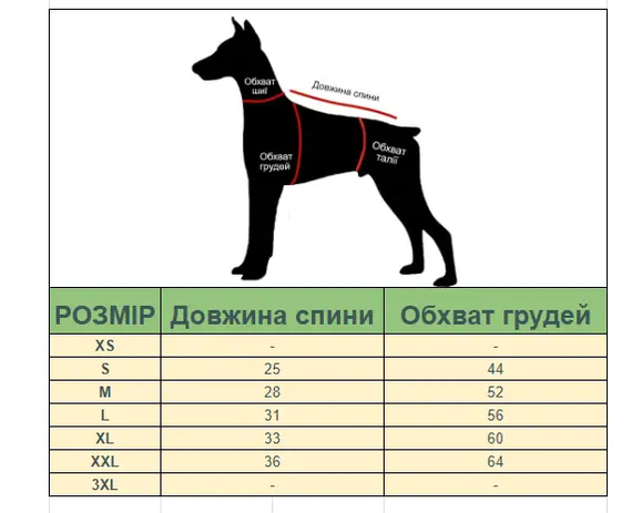 Труси гігієнічні для собак (боді) блакитні з принтом M | Зображення 7