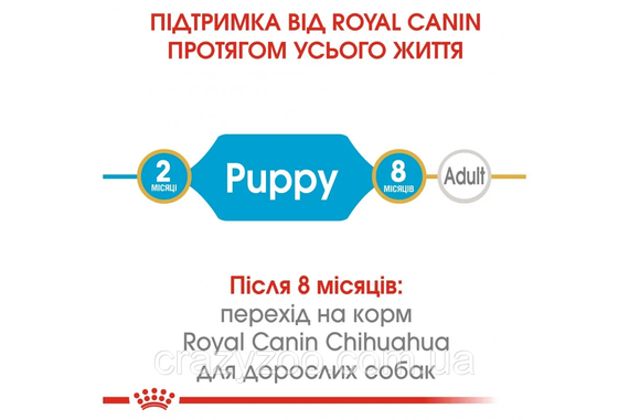 Сухой полнорационный корм Royal Canin Chihuahua Puppy от 2 до 8 месяцев 1.5 кг 3182550722544 | Зображення 8