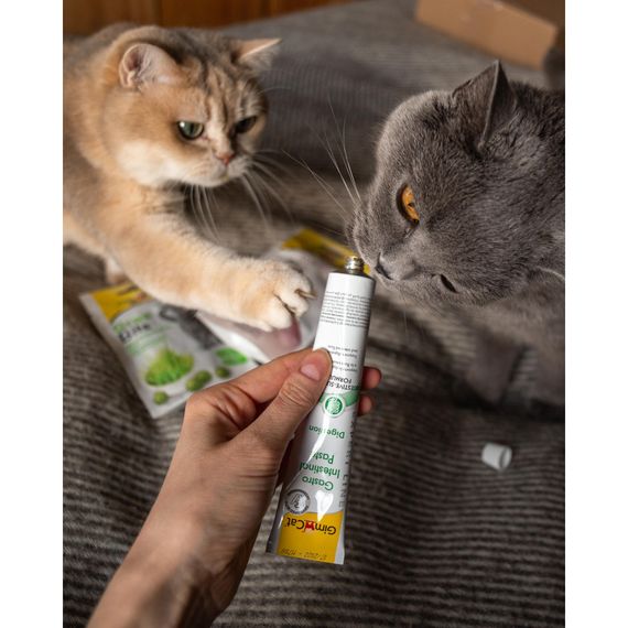 Вітаміни GimCat Expert Line Gastro Intestinal для котів паста для покращення травлення 50 г | Зображення 3
