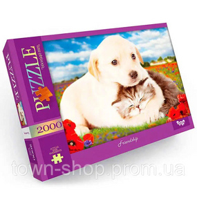 Пазл "Friendship" Danko Toys C2000-01-09, 2000 эл.