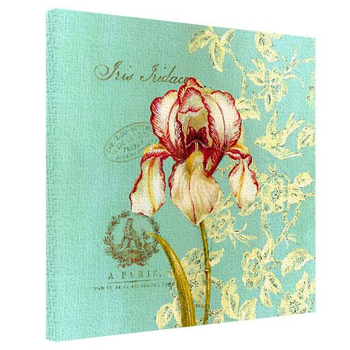 Картина на холсте Iris Iridaceae 50x50 см (H5050_RET012)