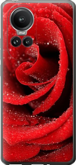 Чехол на Oppo Reno10 Pro Красная роза "529u-3109-17620"