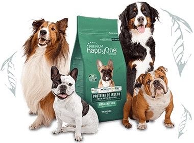 Cухий корм із білком комах для дорослих собак Happy One Premium Dog Insects, 10 кг | Зображення 1