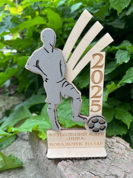 Іменний дерев’яний кубок-нагорода з гравіюванням за досягнення або активність