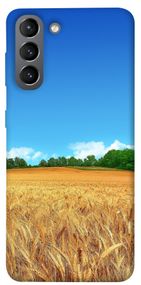 Чохол IBANAN Пшеничне поле для Samsung Galaxy S21