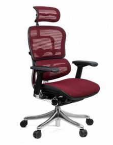 Кресло компьютерное ERGOHUMAN Plus Burgundy