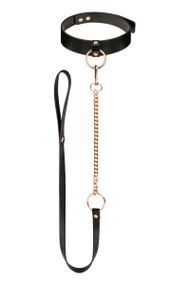 Нашийник з повідцем Rosy Gold Collar with Leash Чорний One Size
