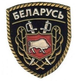 Шеврон Беларусь Вооруженные силы