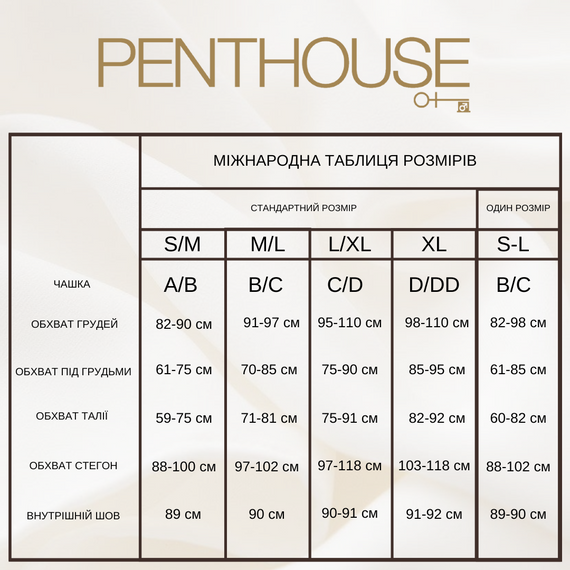 Бодістокінг із сітки та мережива Dirty Mind колір: чорний Penthouse (Німеччина), розмір XL Sex Aura | Зображення 3