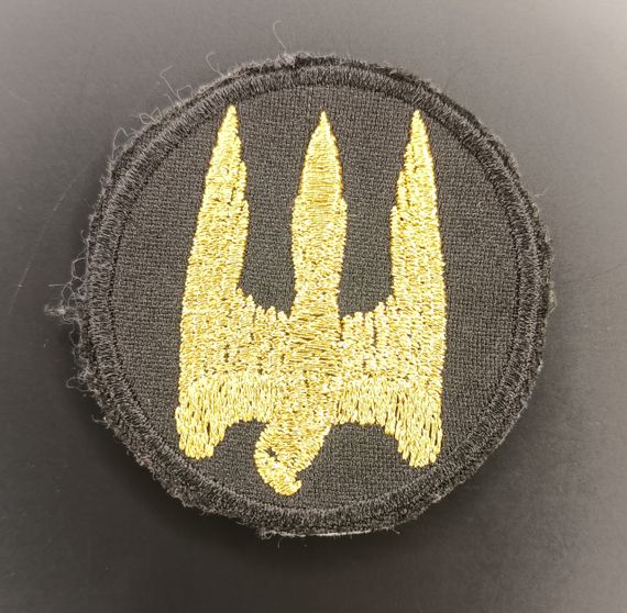 Шеврон Донбас (кокарда/золото)