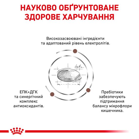 Сухий корм для котів з проблемами травлення та надмірною вагою Royal Canin Gastrointestinal Moderate Calorie Feline, 4 кг | Зображення 2