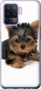 Чехол на Oppo Reno5 Lite Щенок йоркширского терьера "931u-2312-17620"