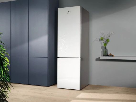 Холодильник Electrolux з нижн. мороз. RNT7ME34G1 | Зображення 1