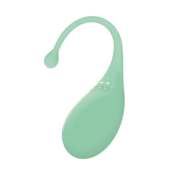 Смарт-виброяйцо Adrien Lastic Palpitation Mint с глубокой вибрацией | Зображення 1