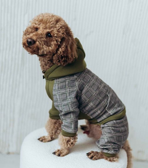 Костюм з клiтинкою хакi D-184 | Зображення 2