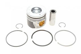 Поршень Hyundai Santa Fe 2.2 CRDi 06- 87.00mm STD  GZ-F1686