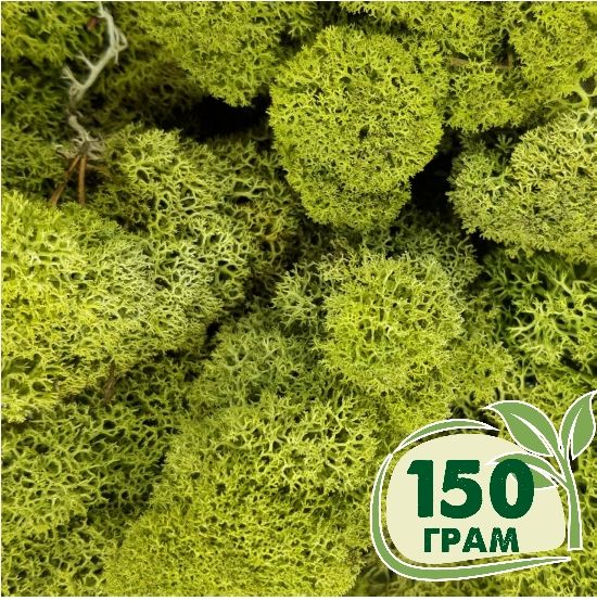 Стабілізований мох ягель Зелений світлий 150 грам