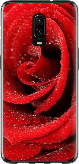 Чехол на OnePlus 6T Красная роза "529u-1587-17620"