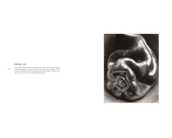Фотоальбоми відомих фотографів книга фотографій Едварда Вестона Edward Weston.Monograph книги для фотографів | Зображення 1
