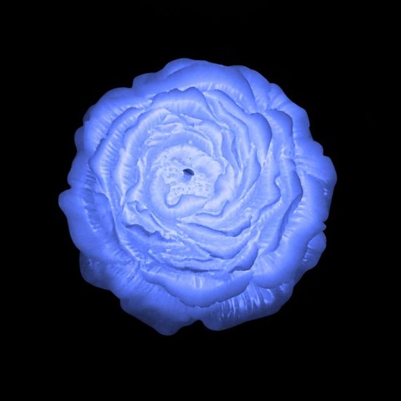 Свічка півонія люмінесцентна GlowKink низькотемпературна, голуба, L sexstyle | Зображення 2