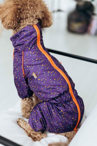 Дощовик кант зiрочки фiолет M-98