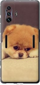 Чехол на Xiaomi Poco F4 GT Boo 2 "890u-2958-17620"