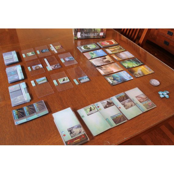 Настільна гра Містична Долина (Mystic Vale) | Зображення 5