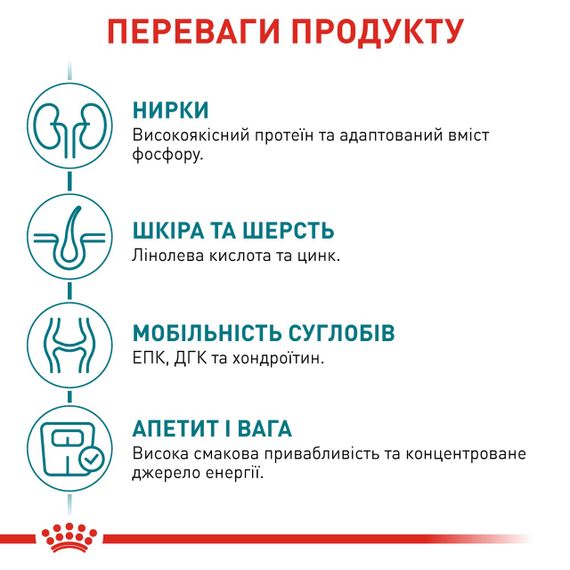 Сухий корм для кішок похилого віку Royal Canin Ageing 11+, 2 кг | Зображення 3