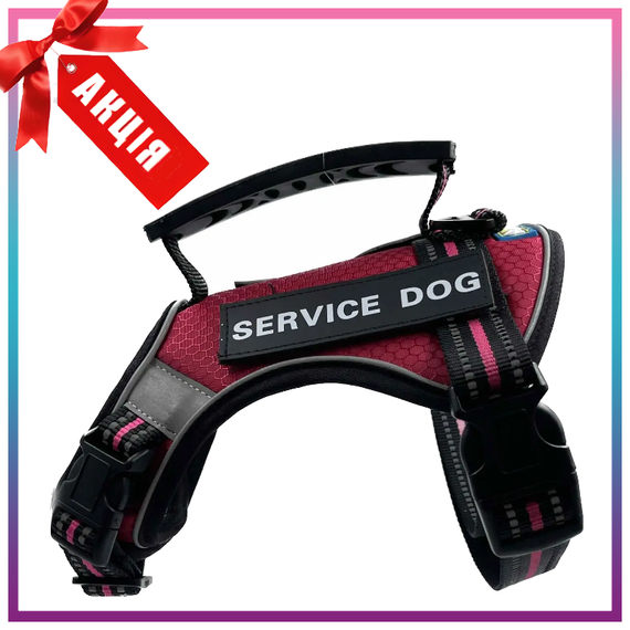 Шлейка для собак Service Dog S, M, L, XL, Бордовая, Шлей для собак, Нагрудник для средних пород