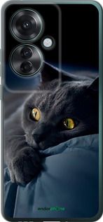 Чохол на Oppo Reno11 F Димчастий кіт "825u-3671-2448"